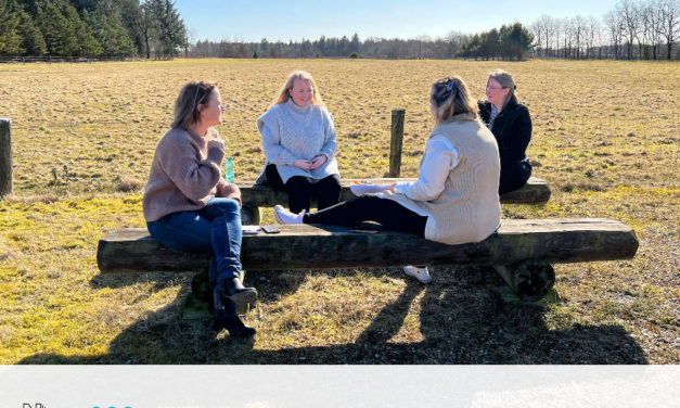 Storytelling Workshops for Destination Triangle Area